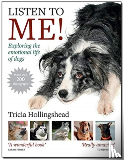 Hollingshead, Patricia - Listen To Me!