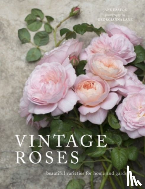 Eastoe, Jane - Vintage Roses