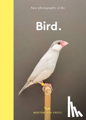 Press, Hoxton Mini - Bird.