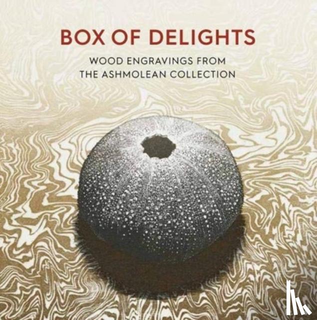 Desmet, Anne - Box of Delights