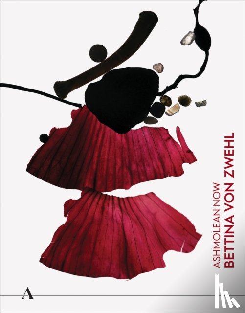 Fritsch, Lena, Grosz, Stephen, Ennis, Ciara - Ashmolean NOW: Bettina von Zwehl