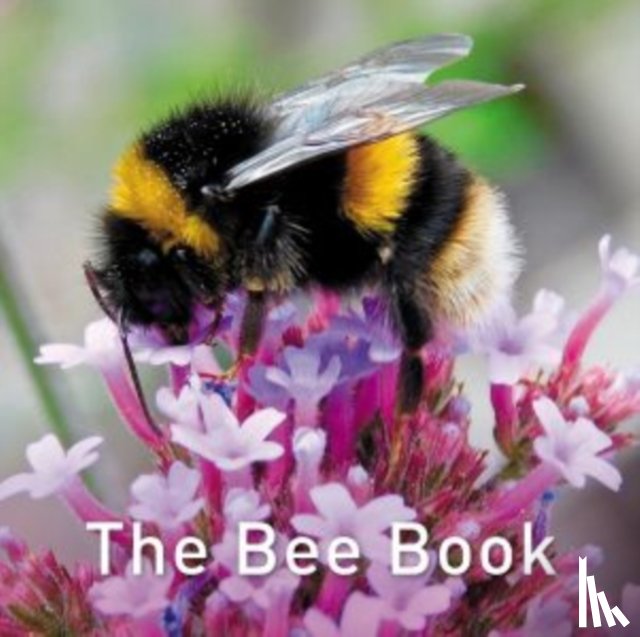 Byrne, Jo - Nature Book Series, The: The Bee Book