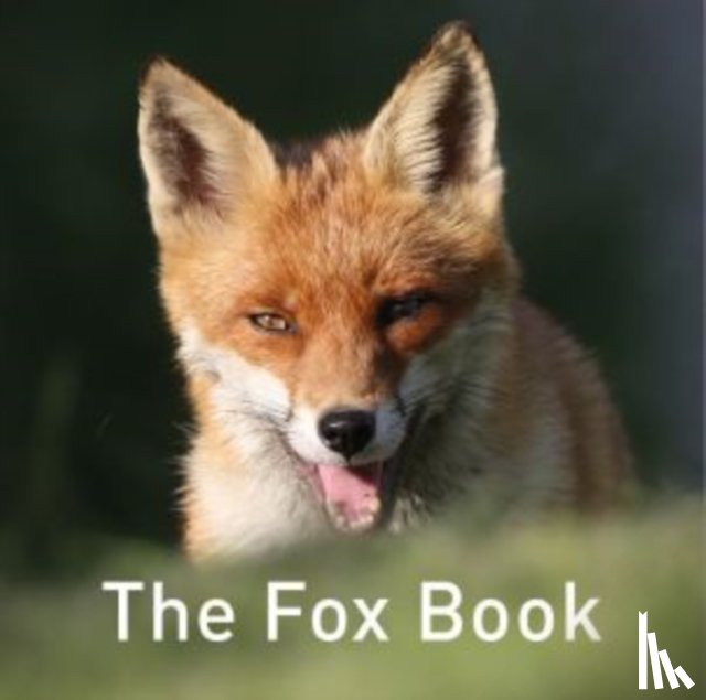 Russ, Jane - Nature Book Series: The Fox Book