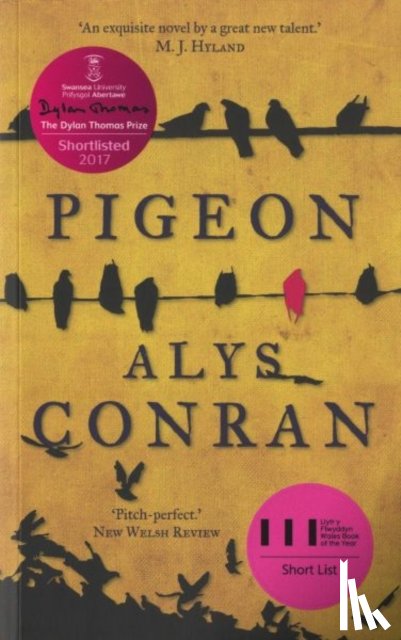 Conran, Alys - Pigeon