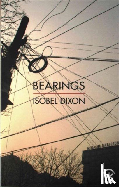 Dixon, Isobel - Bearings