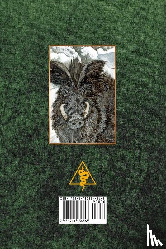 McCarthy, Josephine - Magic of the North Gate: Powers of the Land, the Stones and the Ancients