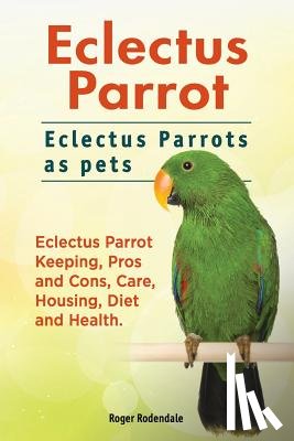 Rodendale, Roger - Eclectus Parrot. Eclectus Parrots as pets. Eclectus Parrot Keeping, Pros and Cons, Care, Housing, Diet and Health.