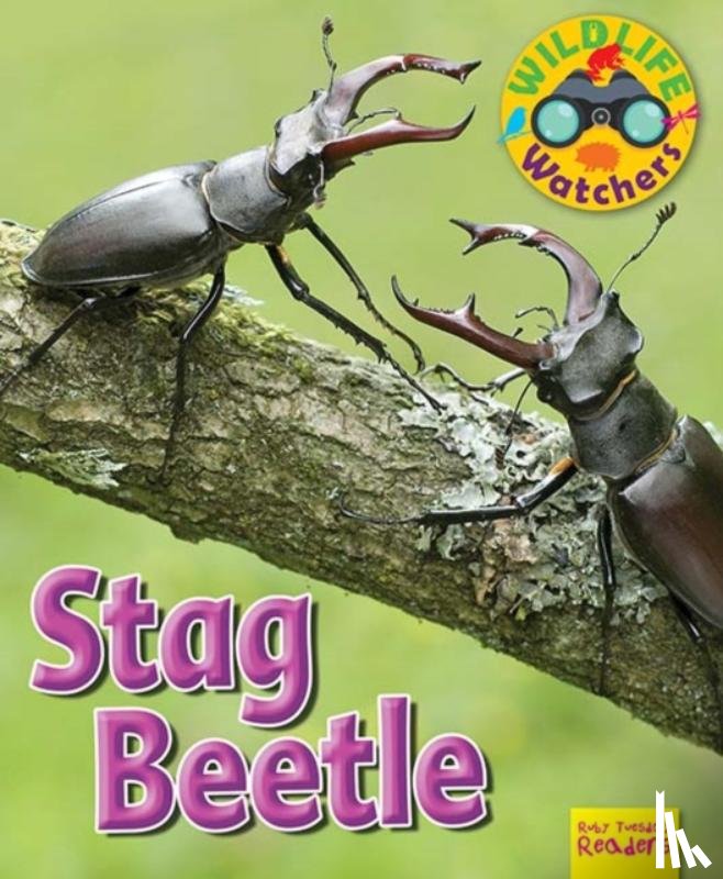 Owen, Ruth - Wildlife Watchers: Stag Beetle