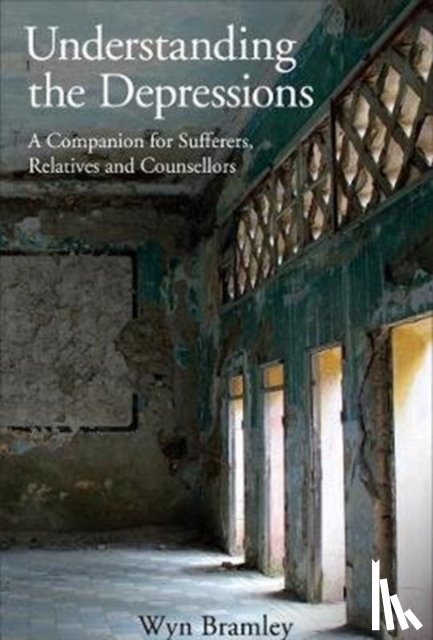 Bramley, Wyn - Understanding the Depressions