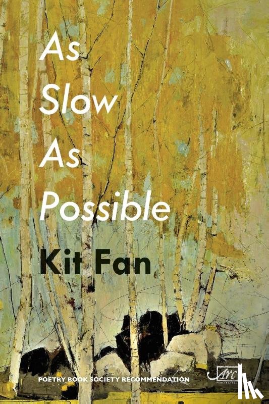 Fan, Kit - As Slow As Possible