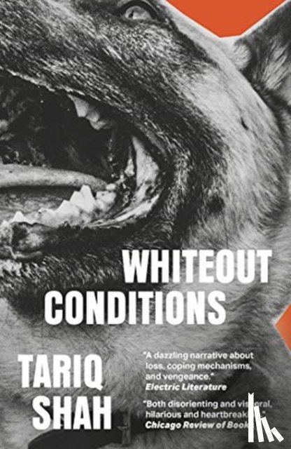 Shah, Tariq - Whiteout Conditions