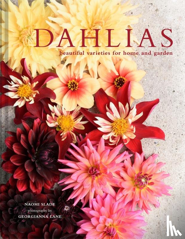 Slade, Naomi, Lane, Georgianna - Dahlias
