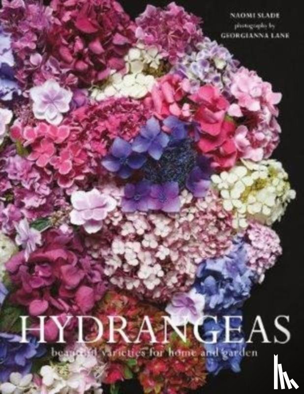 Slade, Naomi - Hydrangeas