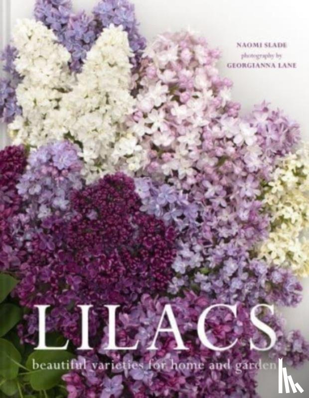 Slade, Naomi - Lilacs