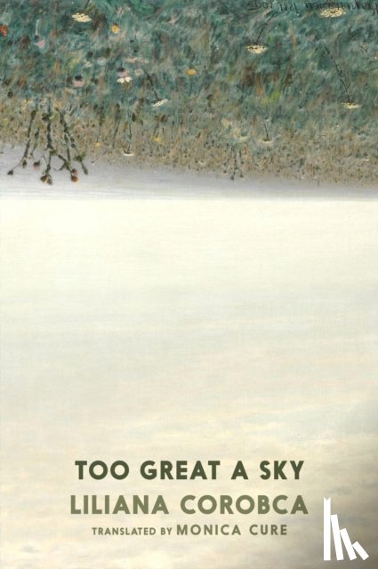 Corobca, Liliana - Too Great A Sky