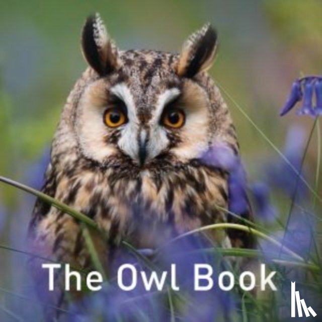 Russ, Jane - Nature Book Series: The Owl Book