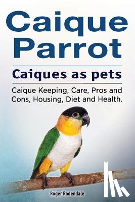 Rodendale, Roger - Caique parrot. Caiques as pets. Caique Keeping, Care, Pros and Cons, Housing, Diet and Health.