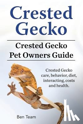 Team, Ben - Crested Gecko. Crested Gecko Pet Owners Guide. Crested Gecko care, behavior, diet, interacting, costs and health.