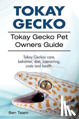 Team, Ben - Tokay Gecko. Tokay Gecko Pet Owners Guide. Tokay Geckos care, behavior, diet, interacting, costs and health.