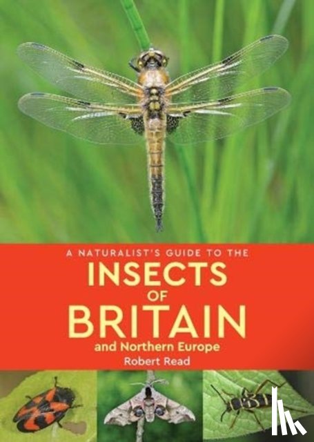 Read, Robert - A Naturalist's Guide to the Insects of Britain and Northern Europe (2nd edition)