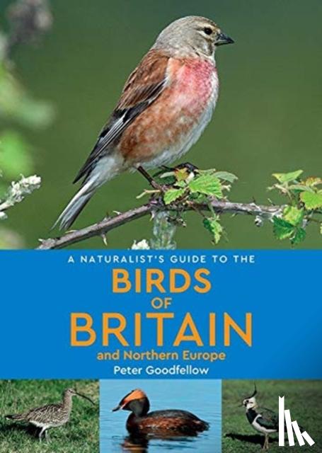 Goodfellow, Peter - A Naturalist's Guide to the Birds of Britain and Northern Europe (2nd edition)