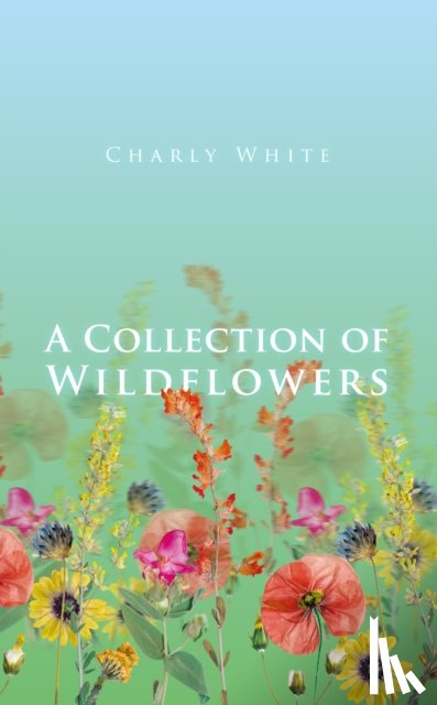 IDIOT, T. S. - A Collection of Wildflowers
