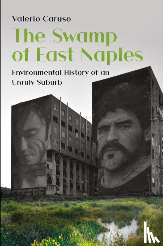 Caruso, Valerio - The Swamp of East Naples