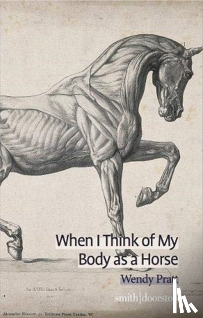 Pratt, Wendy - When I Think of My Body as a Horse