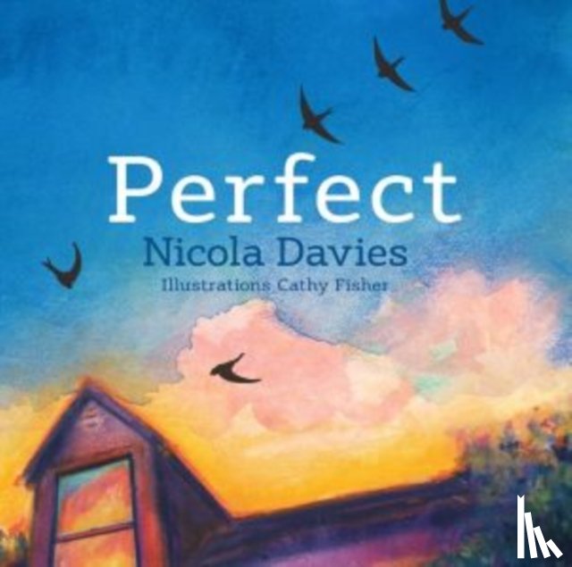 Davies, Nicola - Perfect