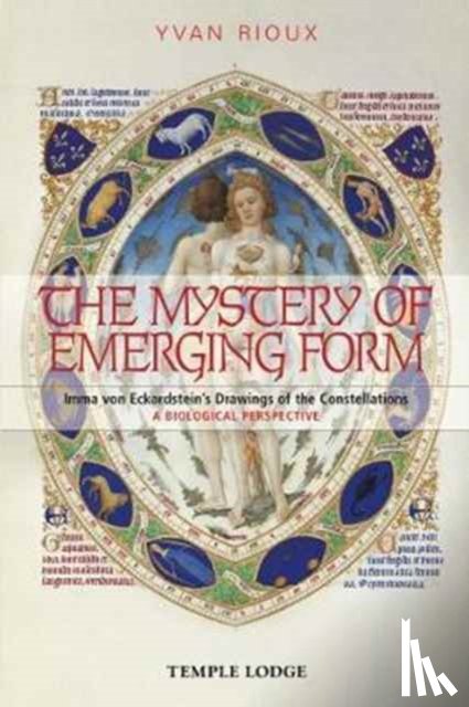 Rioux, Yvan - The Mystery of Emerging Form