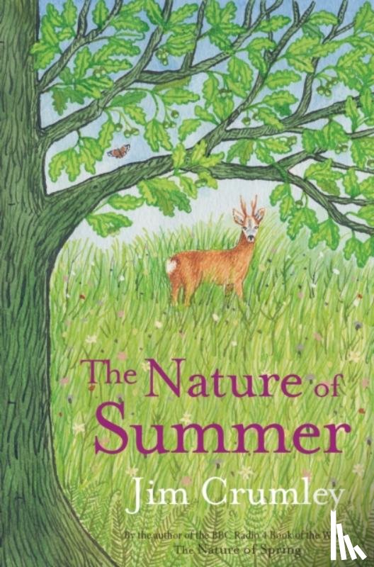 Crumley, Jim - The Nature of Summer