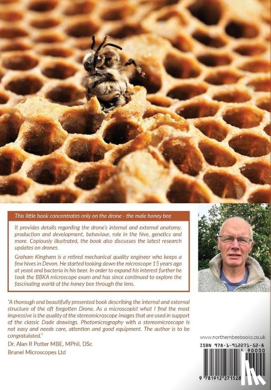 Kingham, Graham - Honey Bee Drones