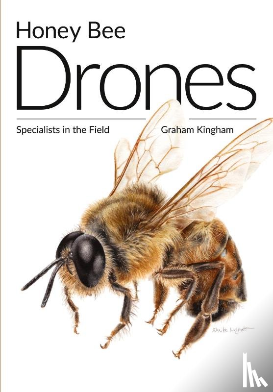 Kingham, Graham - Honey Bee Drones