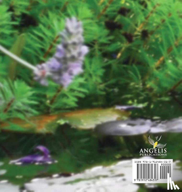 ANGELI PUBLICATIONS - Funeral Guest Book, In Loving Memory, Memorial Guest Book, Condolence Book, Remembrance Book for Funerals or Wake