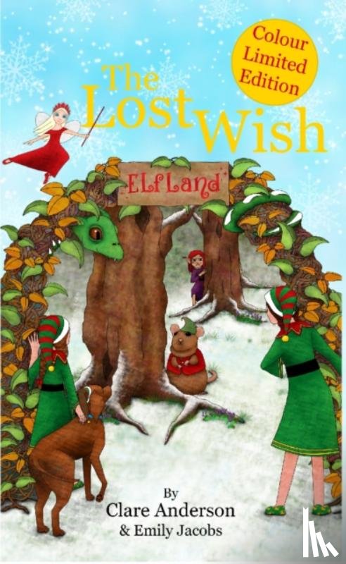 Anderson, Clare, Jacobs, Emily - The Lost Wish
