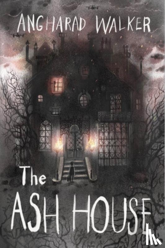 Walker, Angharad - The Ash House