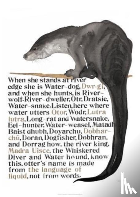 Morris, Jackie - Jackie Morris The Names of the Otter Poster