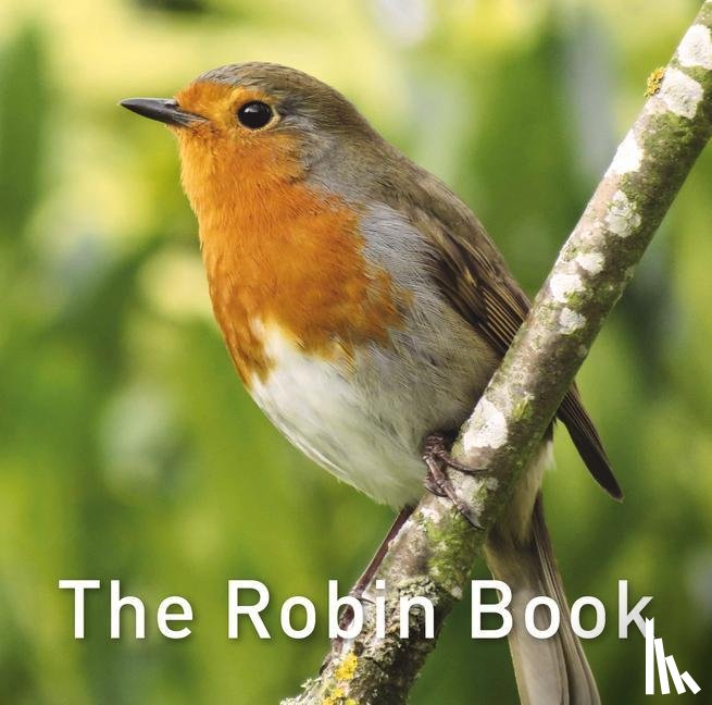 Jane Russ - The Robin Book