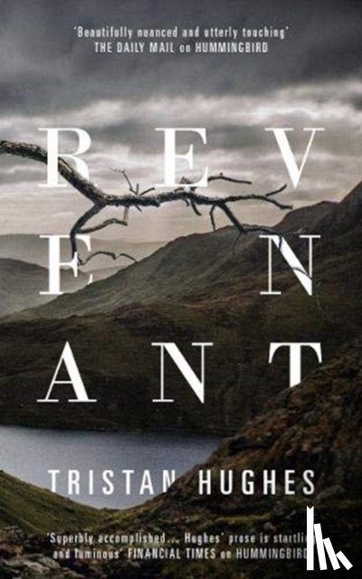 Hughes, Tristan - Revenant