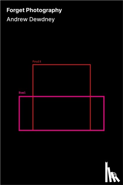 Dewdney, Andrew - Forget Photography