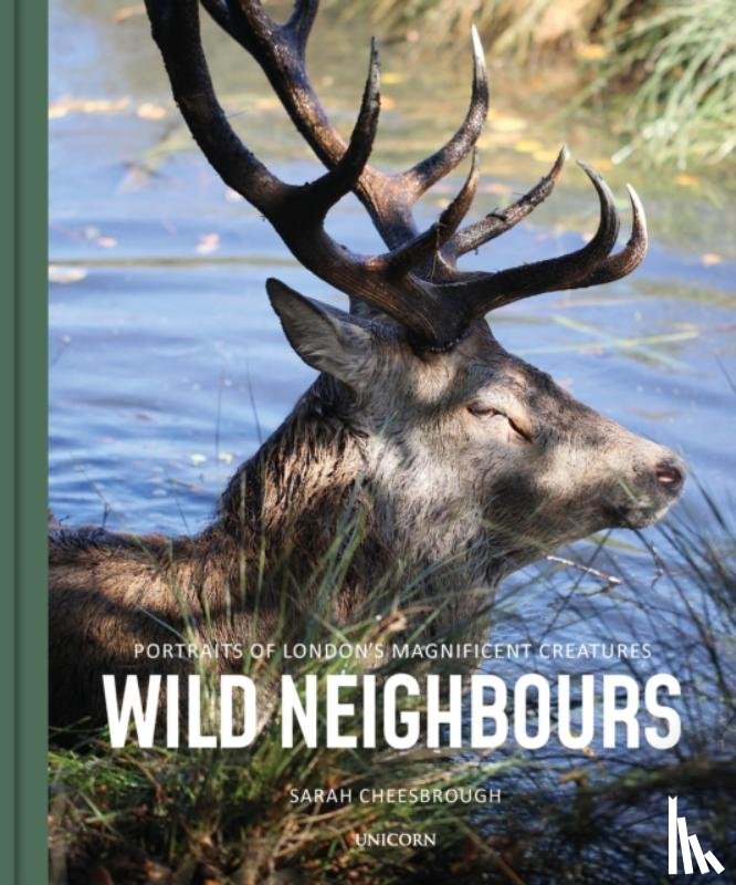 Cheesbrough, Sarah - Wild Neighbours