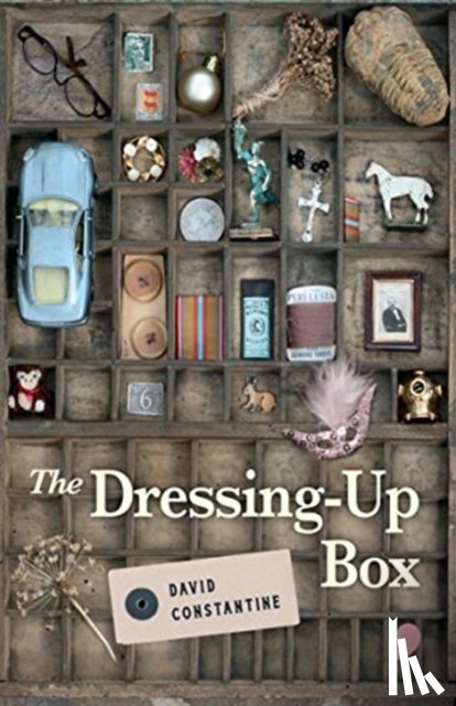 Constantine, David - The Dressing-Up Box