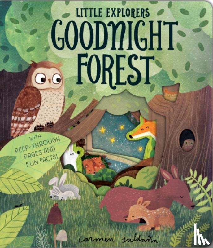 Davies, Becky - Goodnight Forest