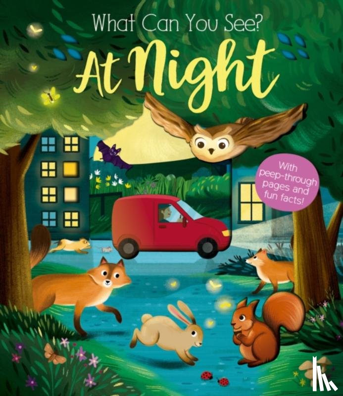 Ware, Kate - What Can You See At Night?