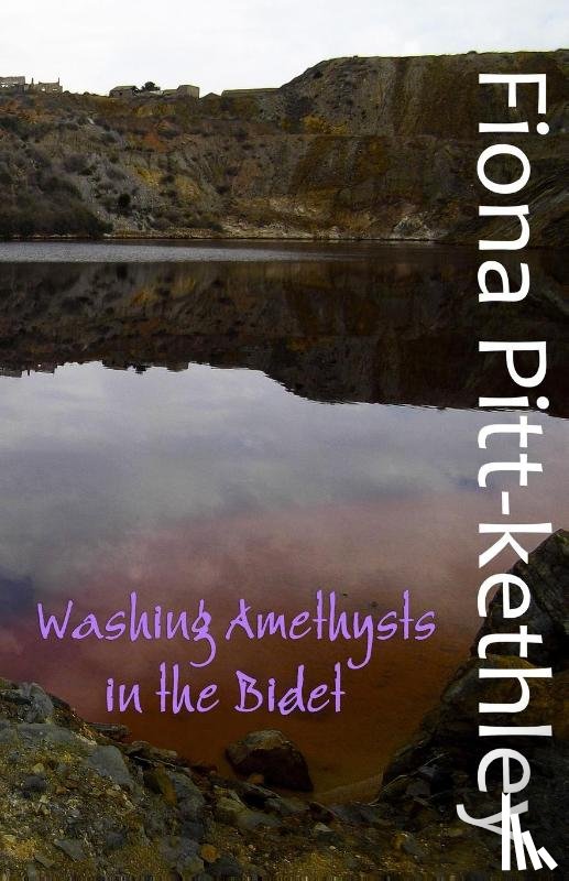 Pitt-Kethley, Fiona - Washing Amethysts in the Bidet