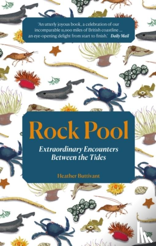 Buttivant, Heather - Rock Pool