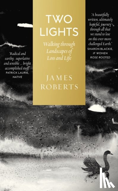 Roberts, James - Two Lights