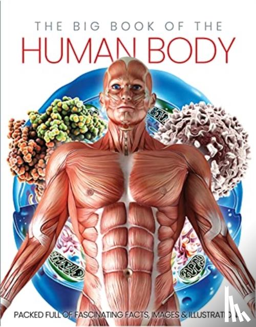 Marsh, Katherine - The Big Book of the Human body