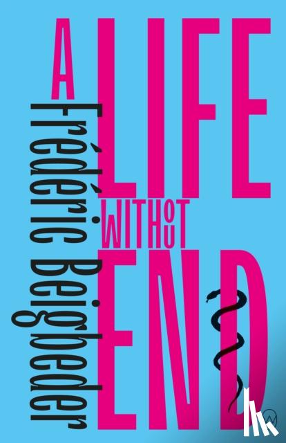 Beigbeder, Frederic - A Life Without End