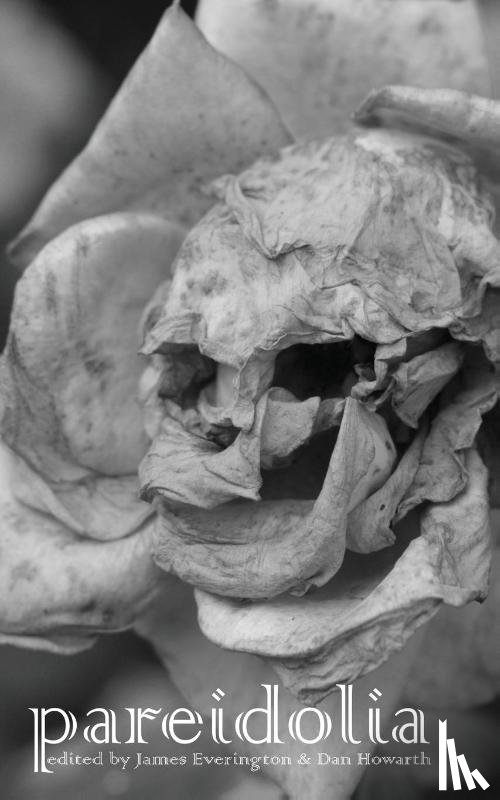  - Pareidolia